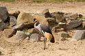 dierentuin emmen_0957